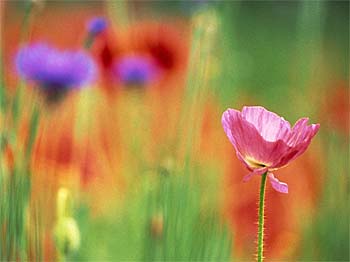 />
</div>

<div class=